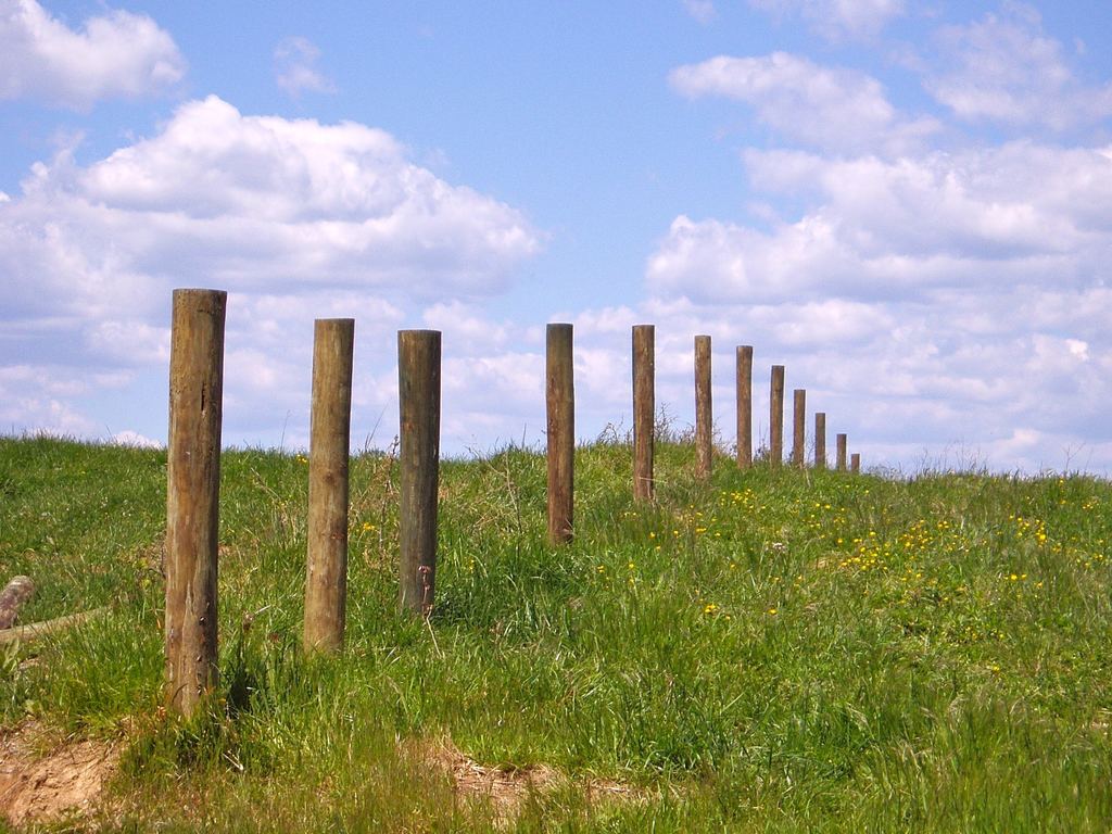 fence posts